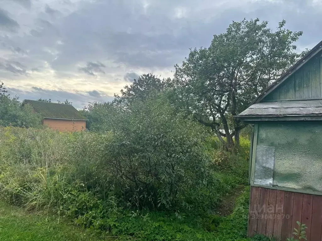 Участок в Ленинградская область, Волхов Родина СНТ, 9-я линия, 201 ... - Фото 1