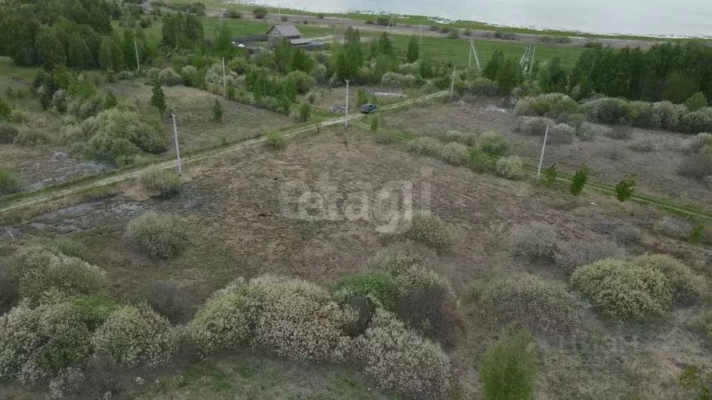 Участок в Тюменская область, Тюменский муниципальный округ, Архип ... - Фото 1