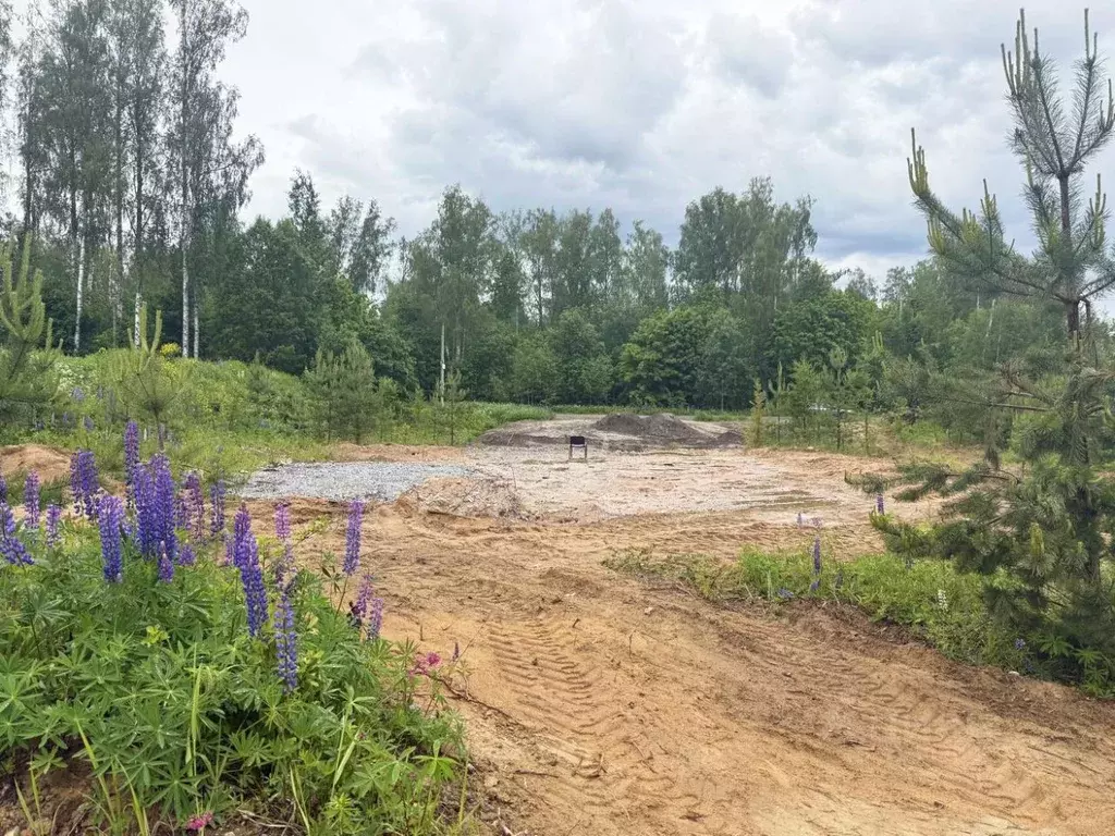 Участок в Ленинградская область, Всеволожский район, Куйвозовское ... - Фото 0