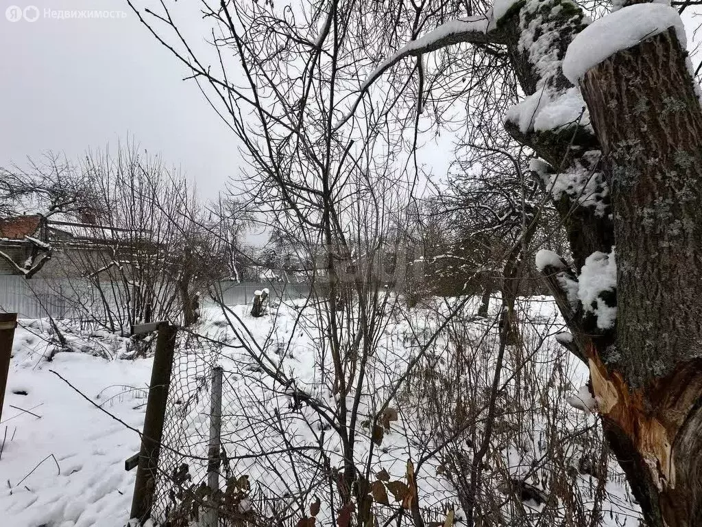 Участок в Брянский район, Снежское сельское поселение, посёлок Верный ... - Фото 1