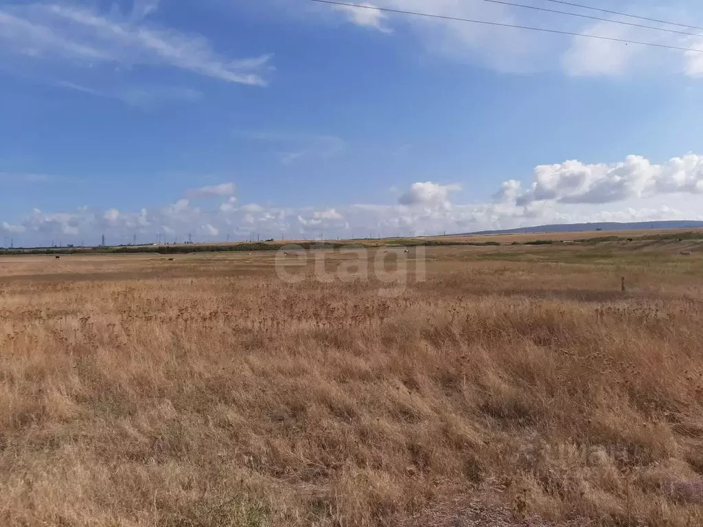 Участок в Крым, Феодосия муниципальный округ, с. Насыпное ул. Анатолия ... - Фото 1