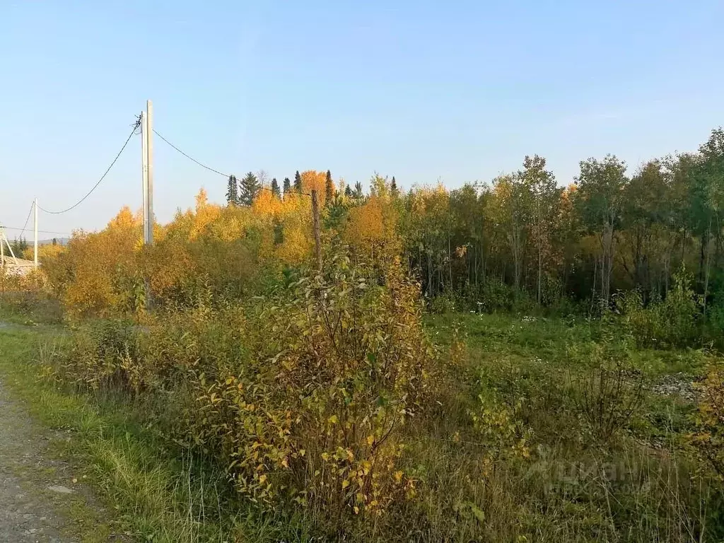 Участок в Свердловская область, Ревда городской округ, пос. Гусевка ... - Фото 1