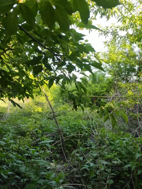 Участок в Новосибирская область, Новосибирск 3-я Чулымская ул., 111 ... - Фото 1