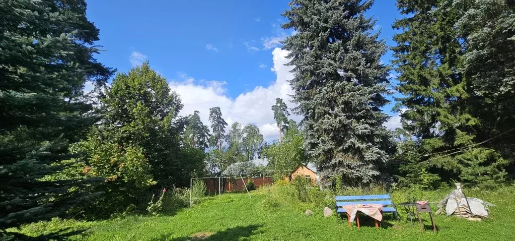 Участок в Московская область, Пушкино Мамонтовка мкр, ул. 1-я Полевая, ... - Фото 1