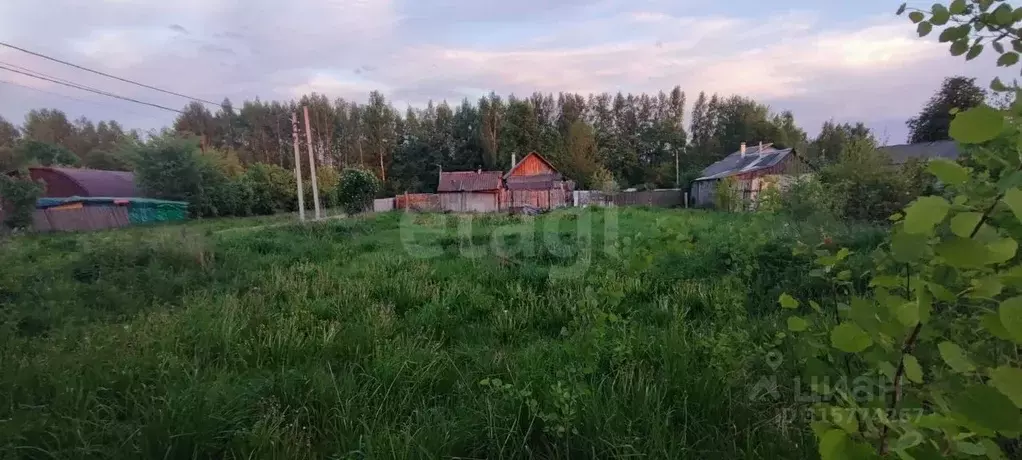 Участок в Костромская область, Костромской район, Никольское с/пос, ... - Фото 1