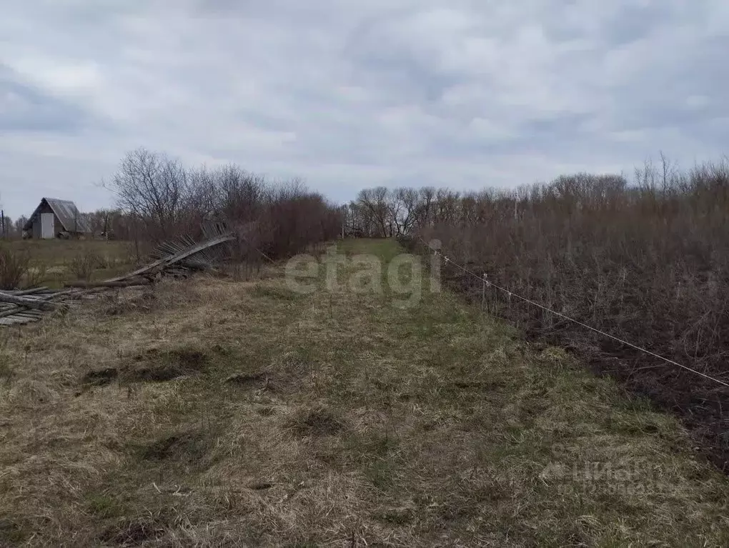 Участок в Мордовия, Лямбирский район, Пензятское с/пос, с. Пензятка ... - Фото 2
