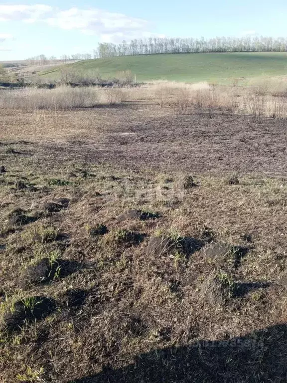 Участок в Алтайский край, Алтайский район, с. Алтайское ул. Ершова ... - Фото 0