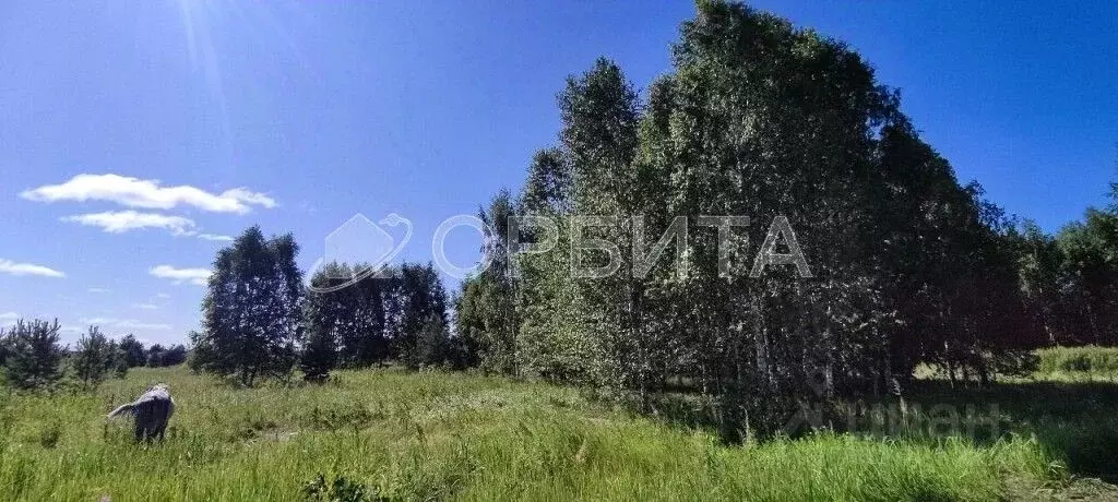 Участок в Тюменская область, Нижнетавдинский район, Царицыно СНТ ул. ... - Фото 1