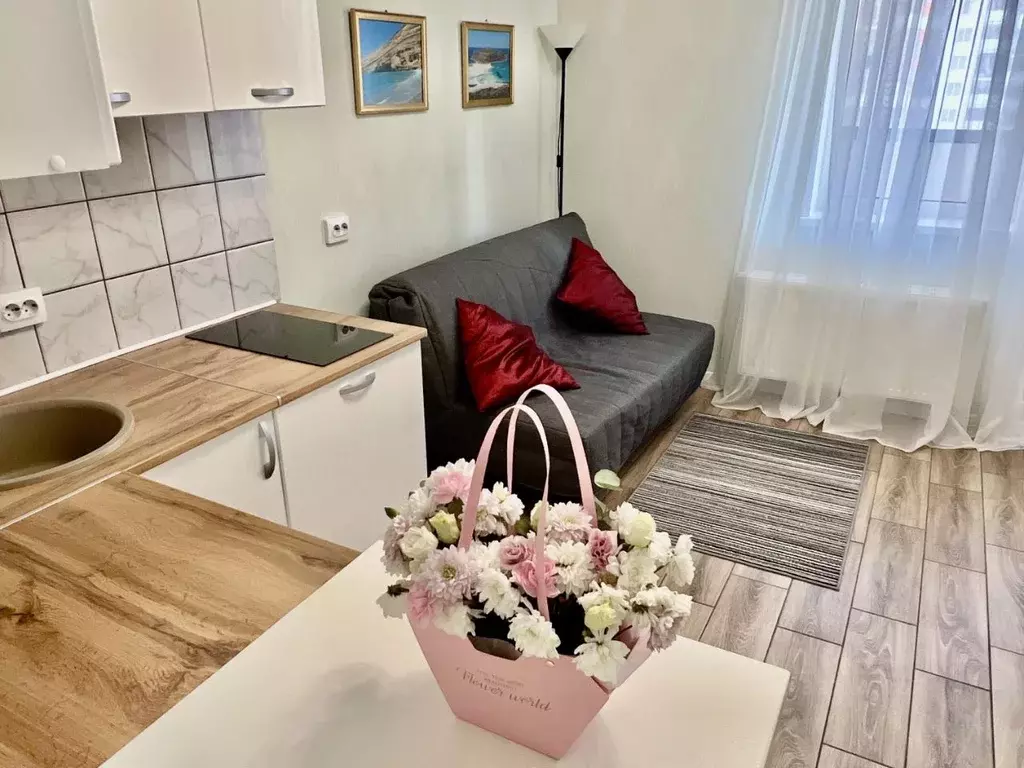 Студия Санкт-Петербург ул. Плесецкая, 10 (25.0 м) - Фото 1