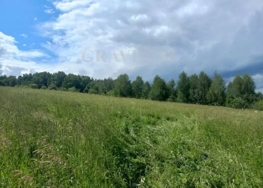 Участок в Алтай, Майминский район, с. Майма ул. Энергетиков (12.0 ... - Фото 1