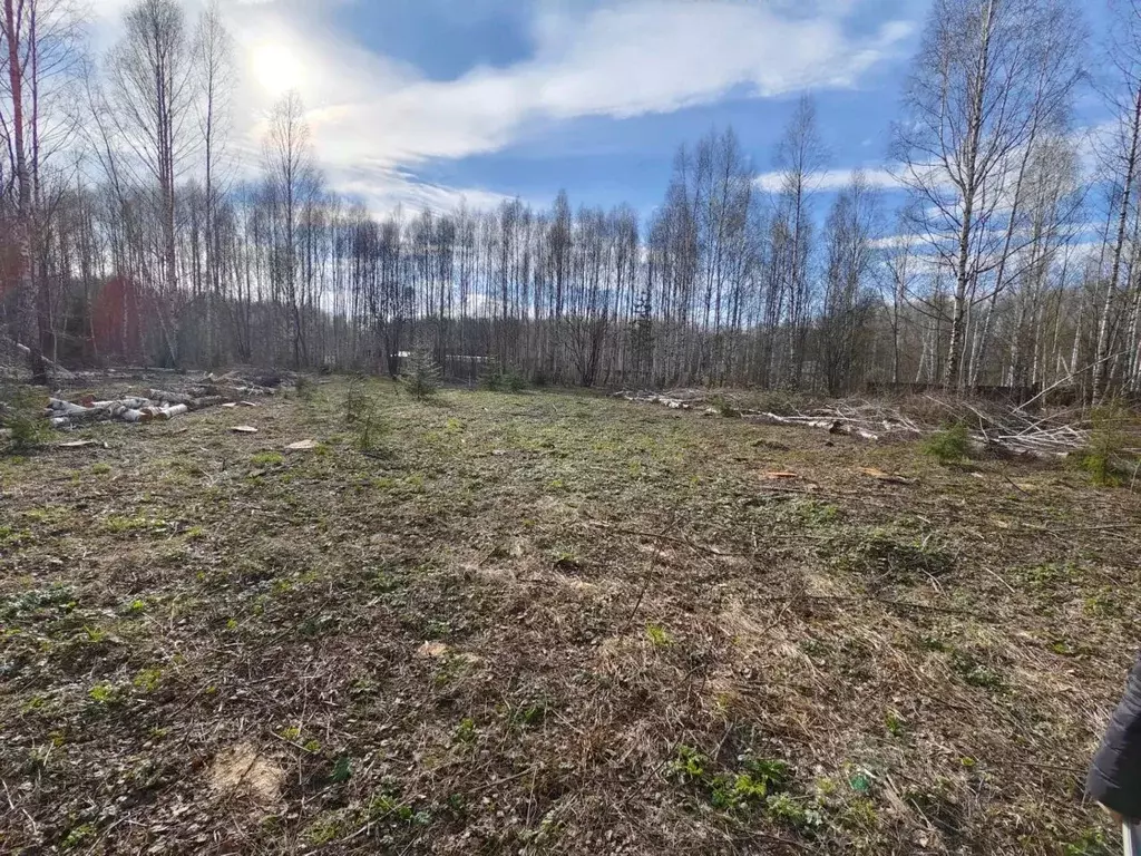 Участок в Московская область, Ступино городской округ, Станица ... - Фото 1