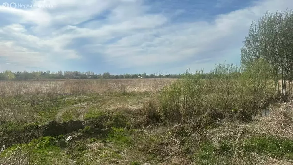 Участок в Хабаровский район, Тополевское сельское поселение, село ... - Фото 0
