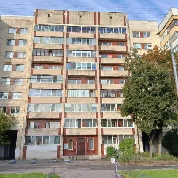 Офис в Санкт-Петербург ул. Партизана Германа, 41 (10 м) - Фото 1