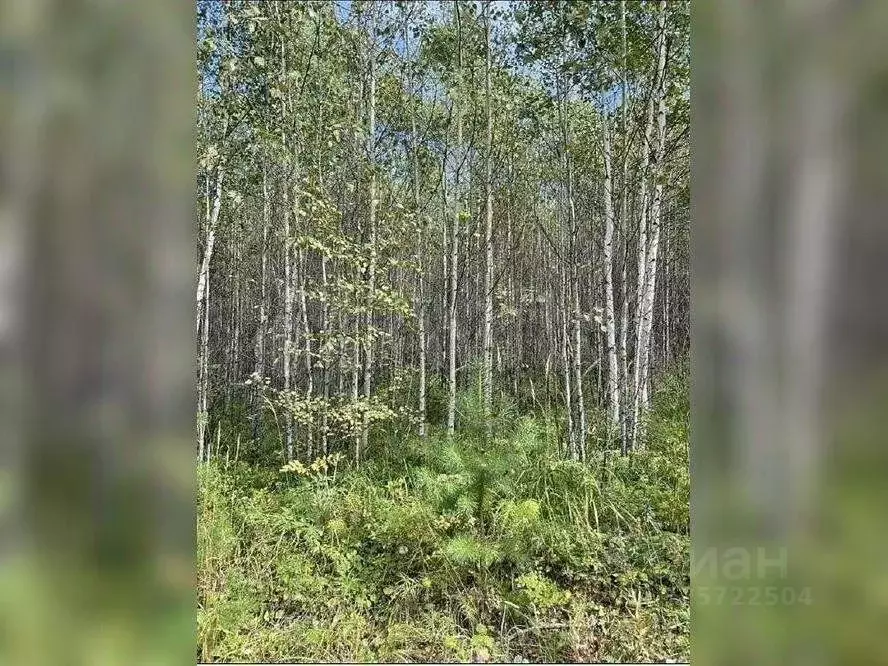 Участок в Иркутская область, Иркутский муниципальный округ, д. ... - Фото 2