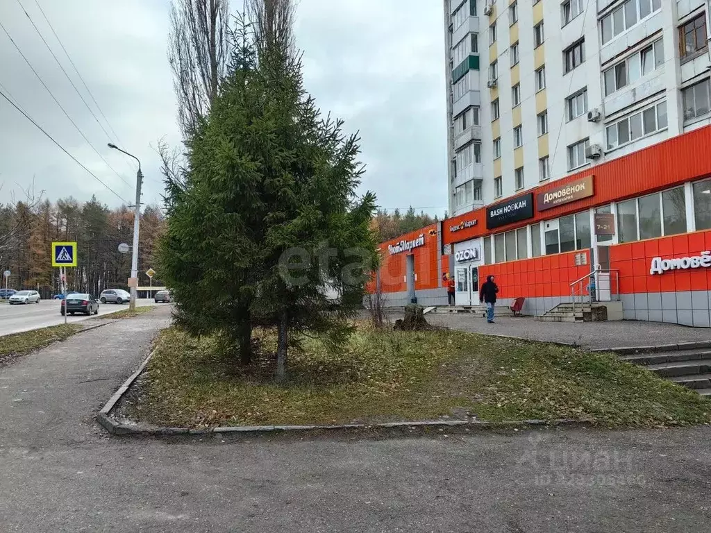 Торговая площадь в Башкортостан, Уфа ул. Менделеева, 201к1 (19 м) - Фото 1