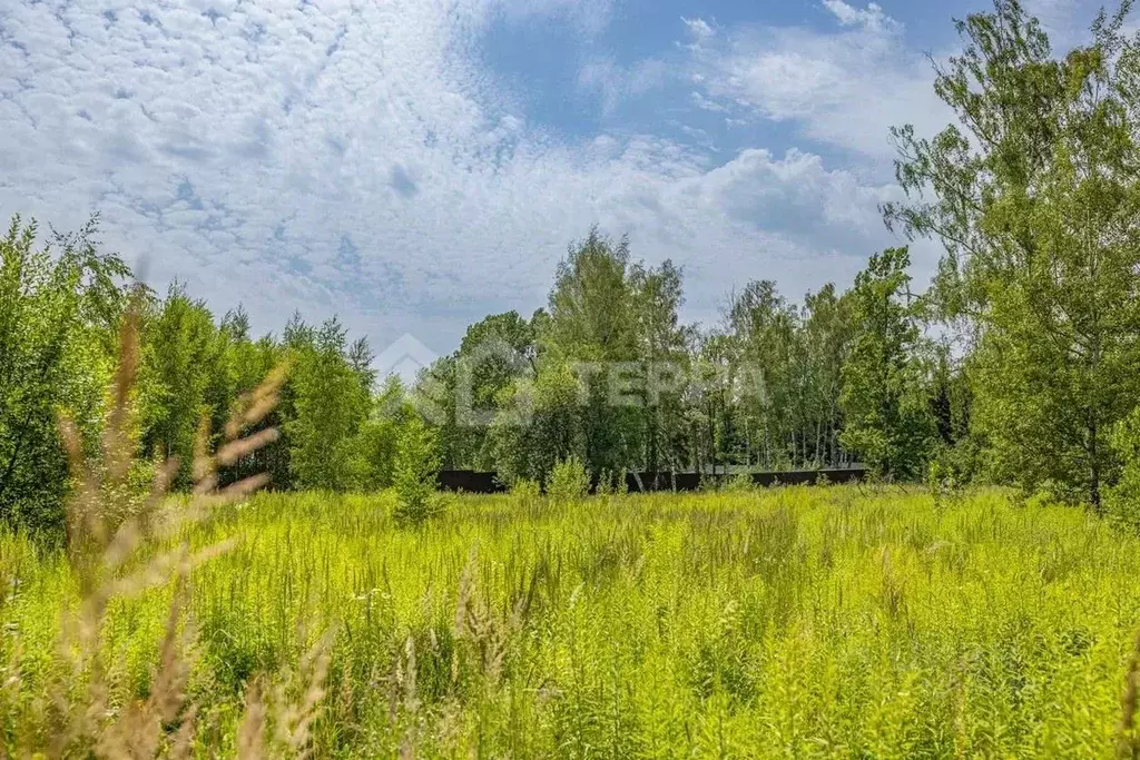 Участок в Московская область, Истра муниципальный округ, д. ... - Фото 2