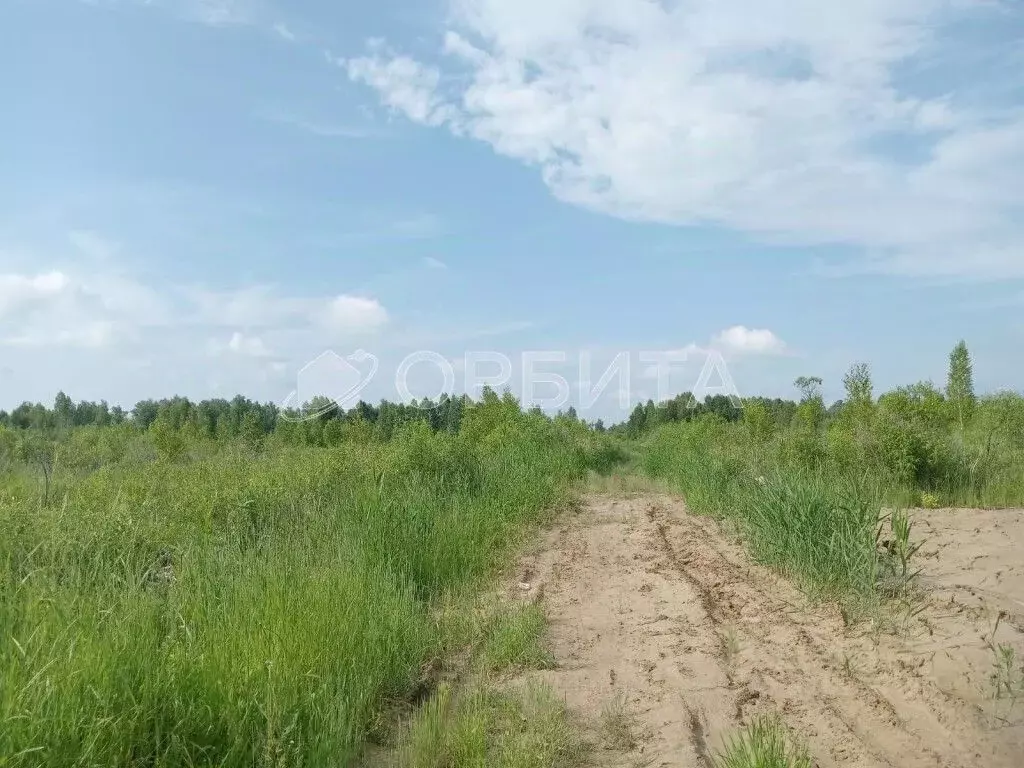 Участок в Тюменская область, Нижнетавдинский район, Сочинские СНТ  ... - Фото 1
