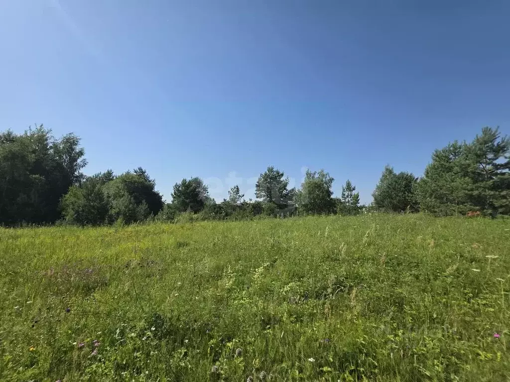 Участок в Калужская область, Дзержинский район, Старки с/пос, д. ... - Фото 2