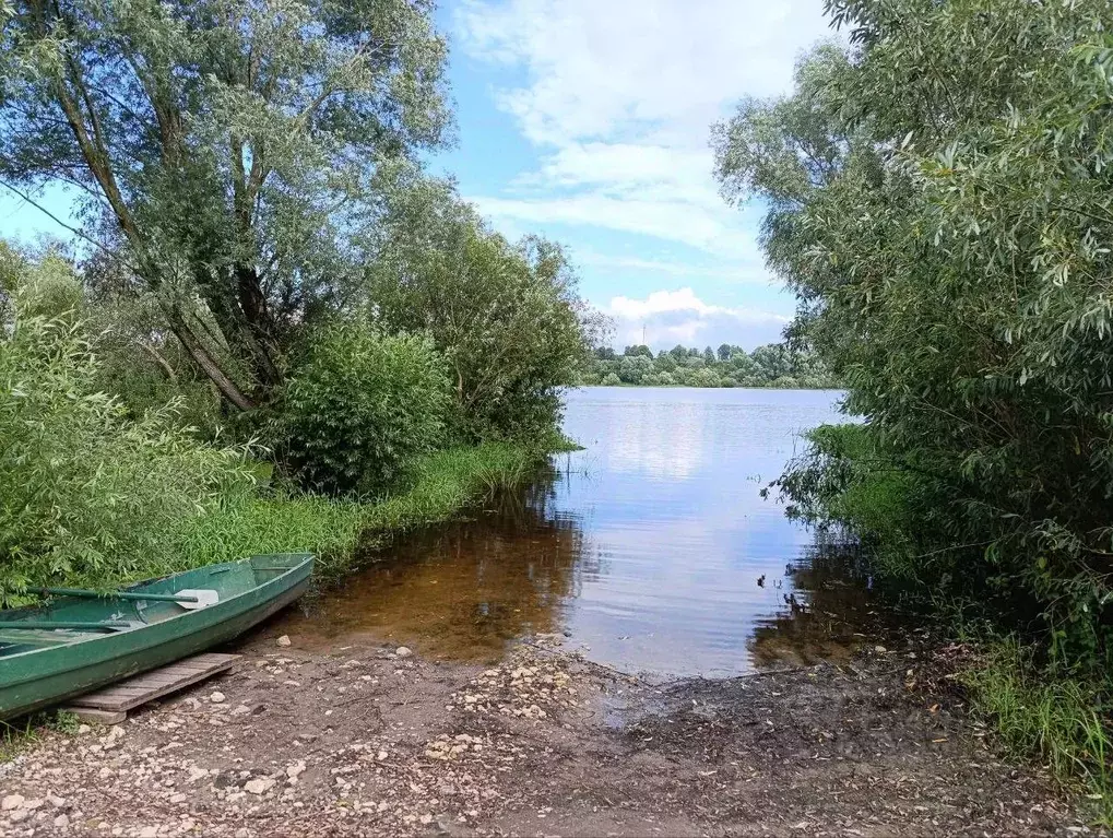 Участок в Новгородская область, Новгородский район, Трубичинское с/пос ... - Фото 2