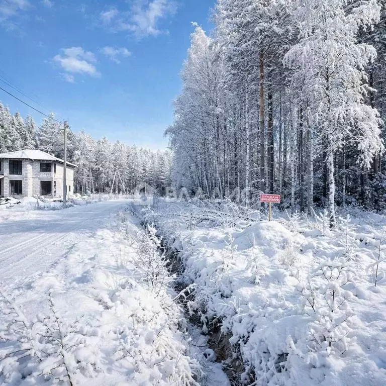 Участок в Ленинградская область, Выборгский район, Рощино пгт проезд ... - Фото 1
