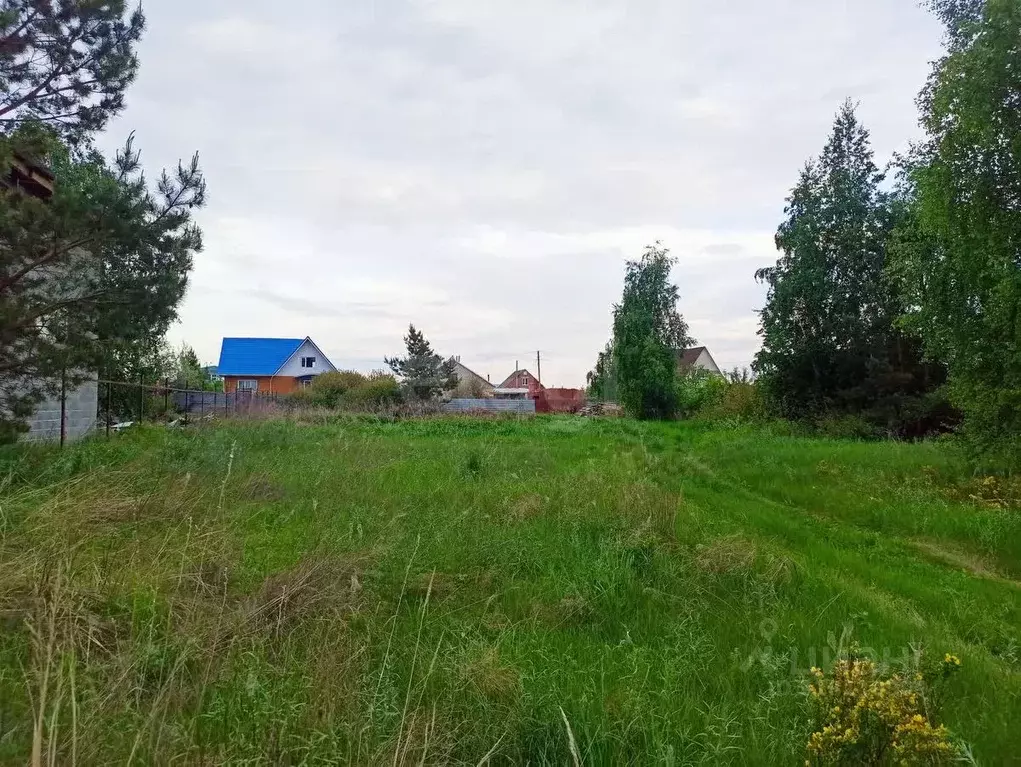 Участок в Челябинская область, Южноуральск пос. Рощино-2, ул. Тенистая ... - Фото 0