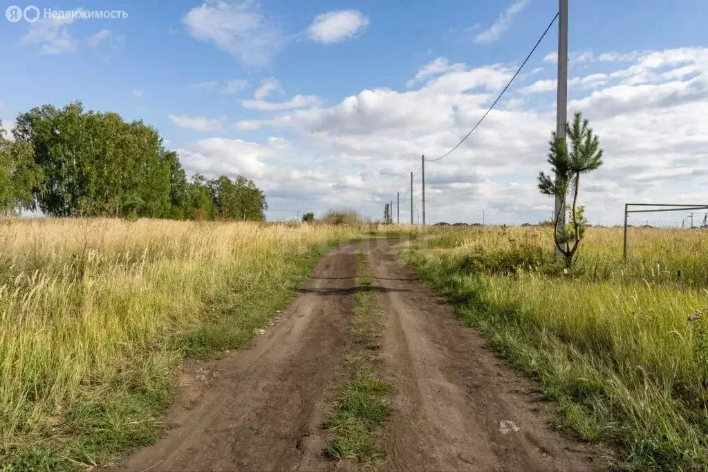 Участок в Тукаевский район, Малошильнинское сельское поселение, ДНП УК ... - Фото 2