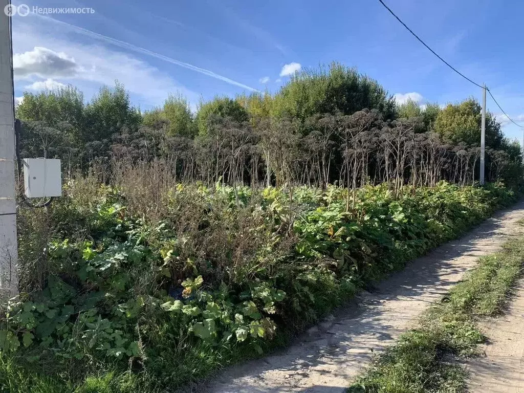 Участок в Тосненский район, Фёдоровское городское поселение, ... - Фото 0