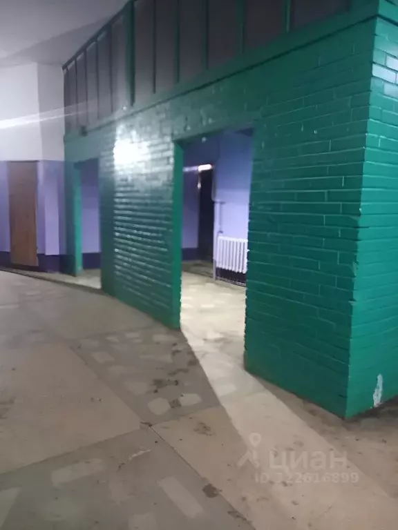 Комната Новосибирская область, Новосибирск ул. Энгельса, 14 (13.0 м) - Фото 1