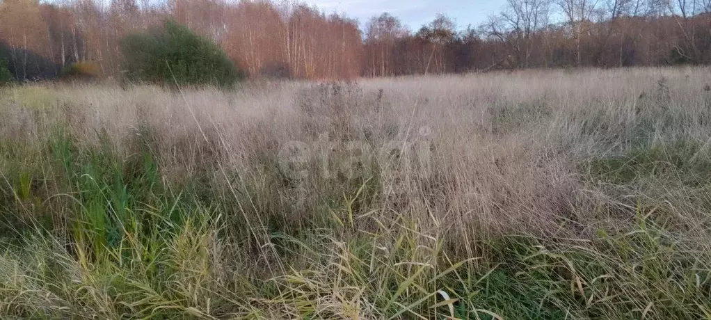 Участок в Псковская область, Порховский муниципальный округ, д. ... - Фото 1