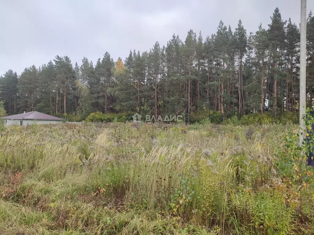 Участок в Нижегородская область, Богородский муниципальный округ, с. ... - Фото 0