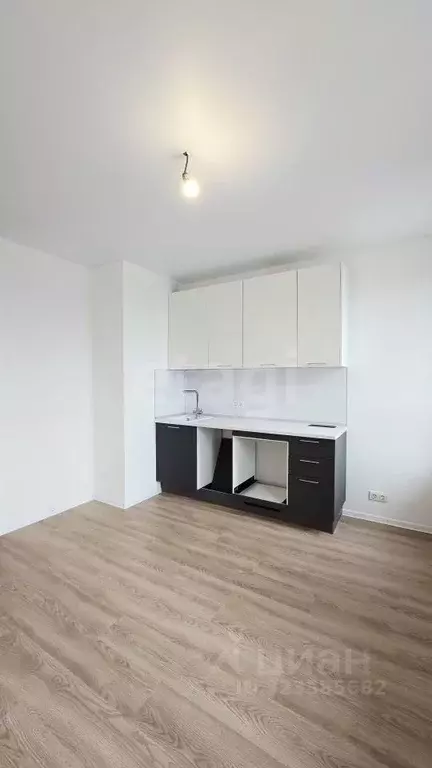 Студия Московская область, Домодедово городской округ, с. Ям ул. ... - Фото 2