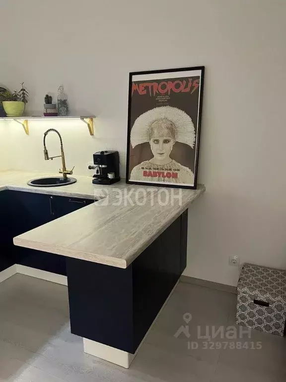 Студия Санкт-Петербург аллея Арцеуловская, 21 (24.5 м) - Фото 2