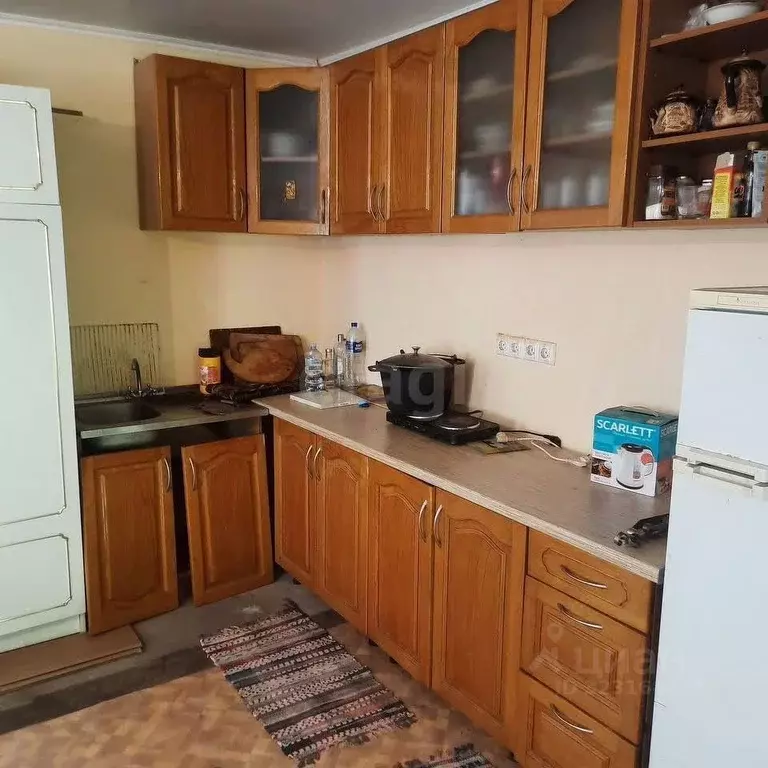 Дом в Курская область, Курский район, Камышинский сельсовет, Камыши ... - Фото 1