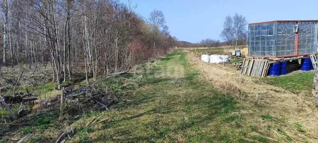 Участок в Сахалинская область, Анивский городской округ, с. Успенское  ... - Фото 0