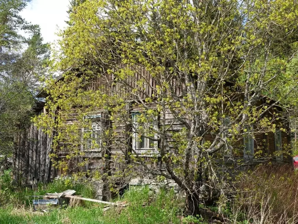 Дом в Карелия, Сортавальский муниципальный округ, Хелюля пгт ул. ... - Фото 0