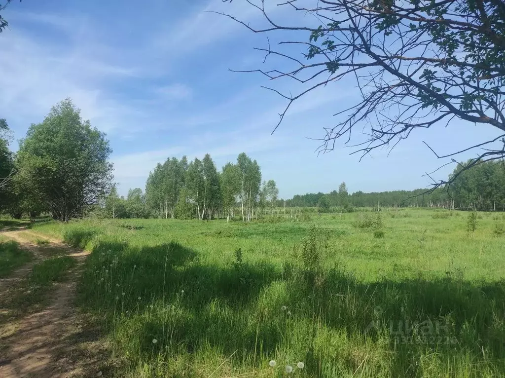 Участок в Смоленская область, Гагаринский муниципальный округ, д. ... - Фото 2