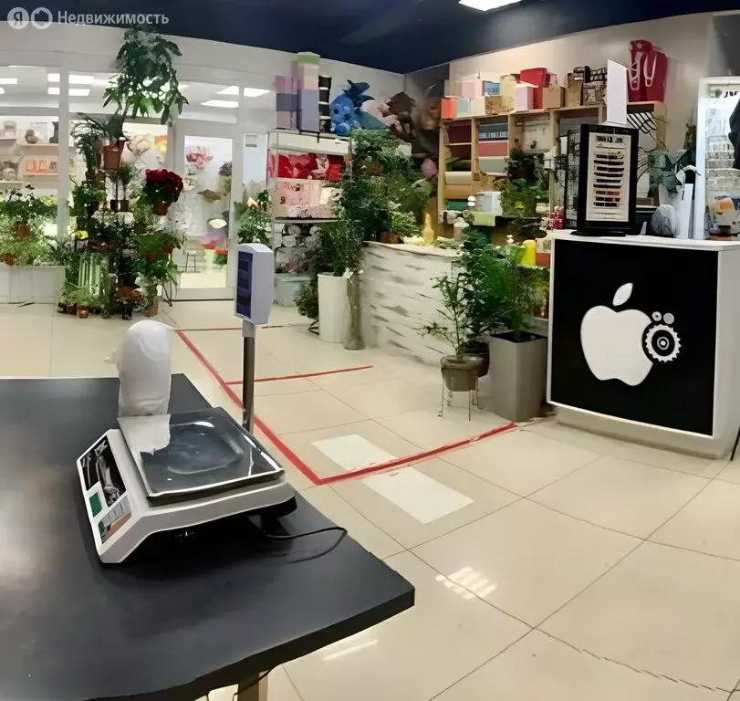 Торговая площадь (101 м) - Фото 2