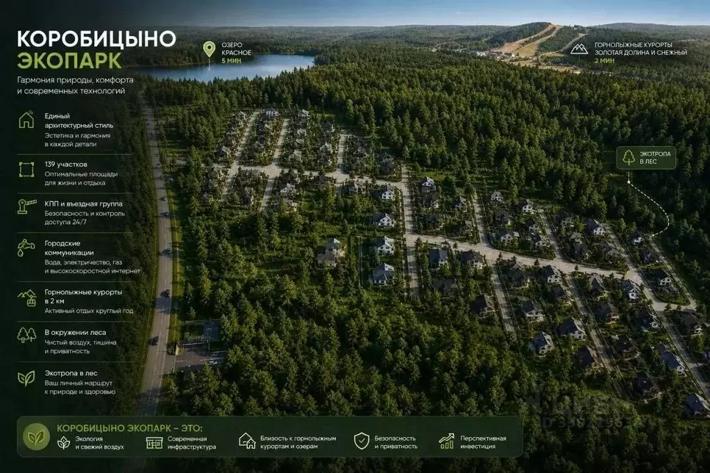 Участок в Ленинградская область, Приозерский район, Красноозерное ... - Фото 2