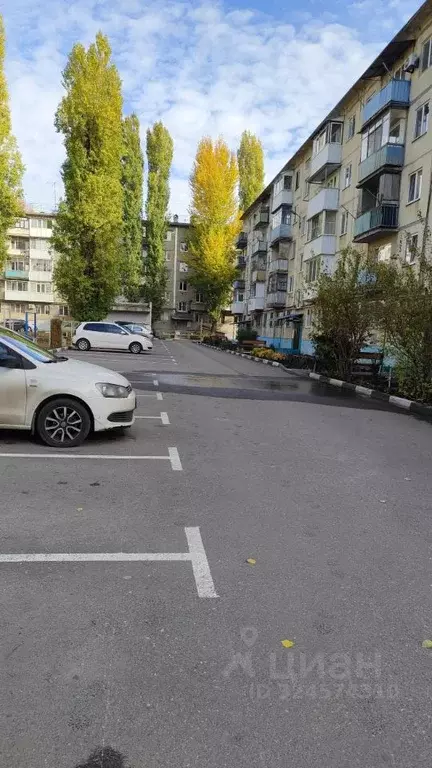 1-к кв. Саратовская область, Саратов просп. Энтузиастов, 33Б (32.0 м) - Фото 2