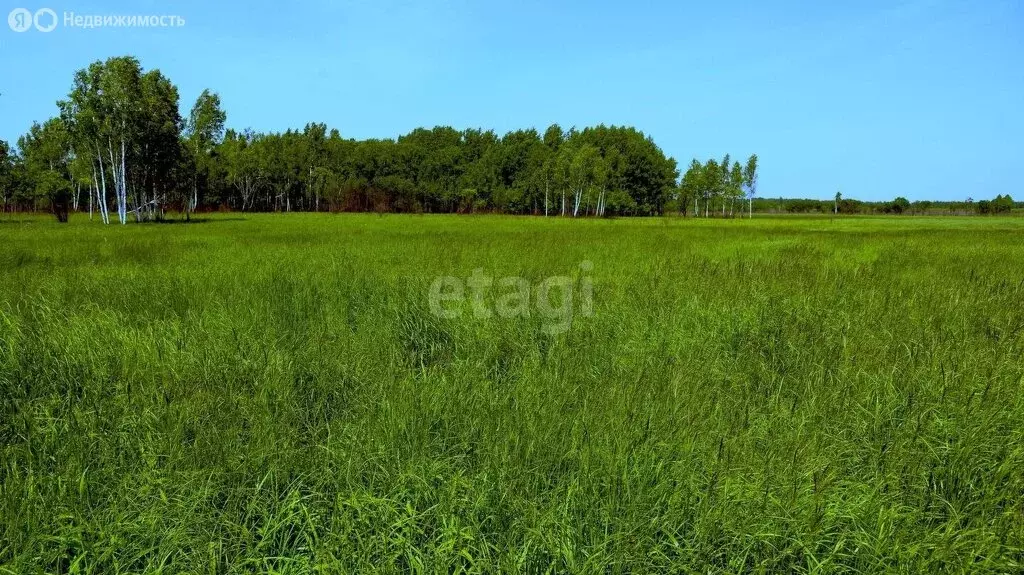 Участок в Сыктывкар, посёлок Холмы-3 (8.4 м) - Фото 0