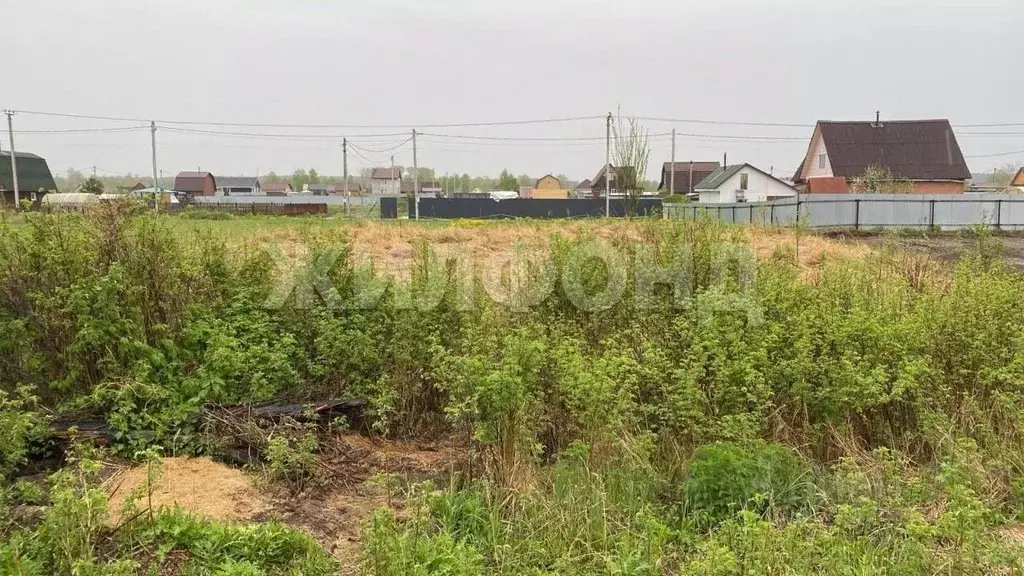 Участок в Новосибирская область, Новосибирский район, Кубовинский ... - Фото 0