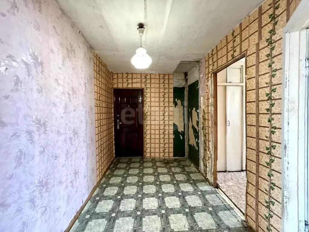 3-к кв. Курганская область, Кетовский муниципальный округ, с. Садовое ... - Фото 1