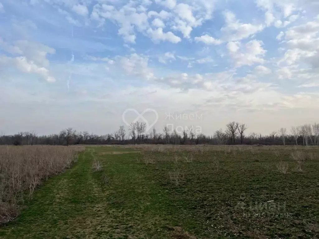 Участок в Волгоградская область, Среднеахтубинский район, Фрунзенское ... - Фото 0