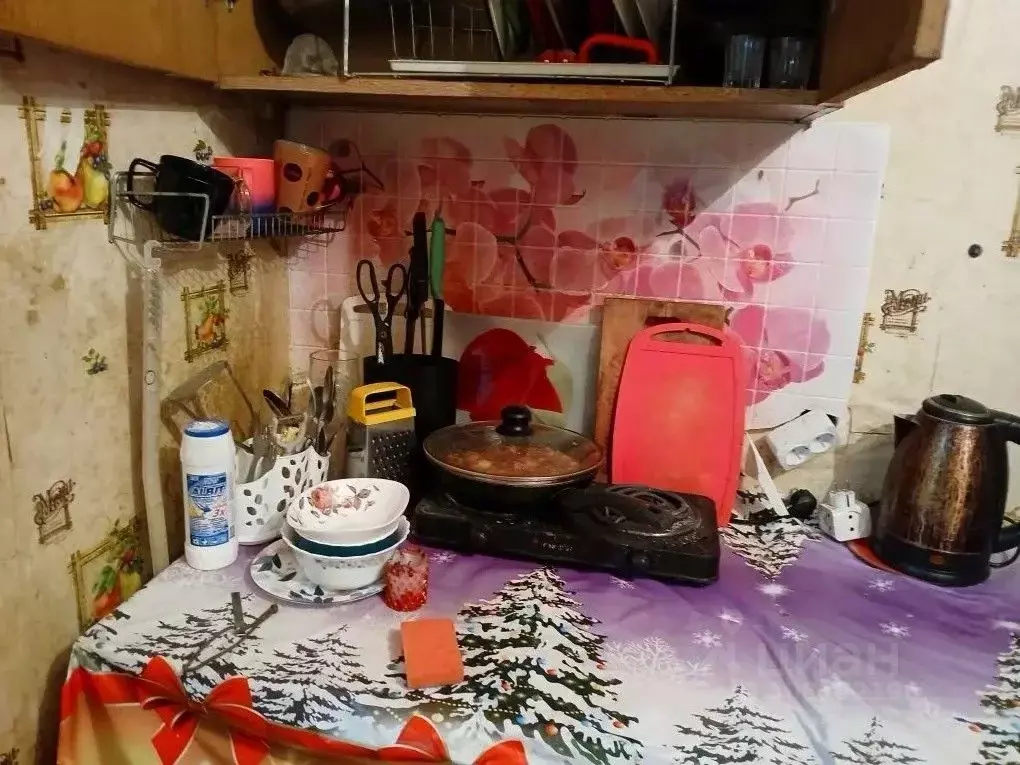 1-к кв. Липецкая область, Липецк Московская ул., 15 (19.0 м) - Фото 1