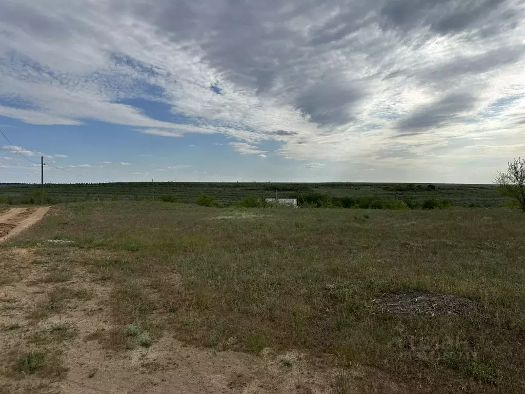 Участок в Волгоградская область, Городищенский район, Царицынское ... - Фото 1