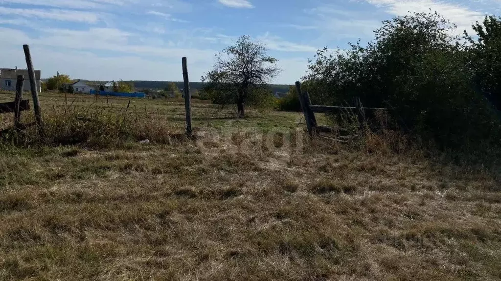 Участок в Белгородская область, Алексеевский муниципальный округ, с. ... - Фото 2