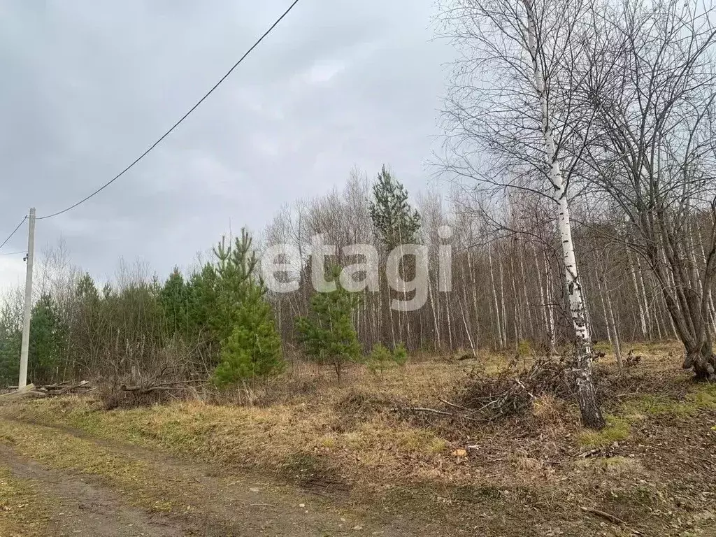 Участок в Красноярский край, Дивногорск городской округ, с. Овсянка  ... - Фото 0