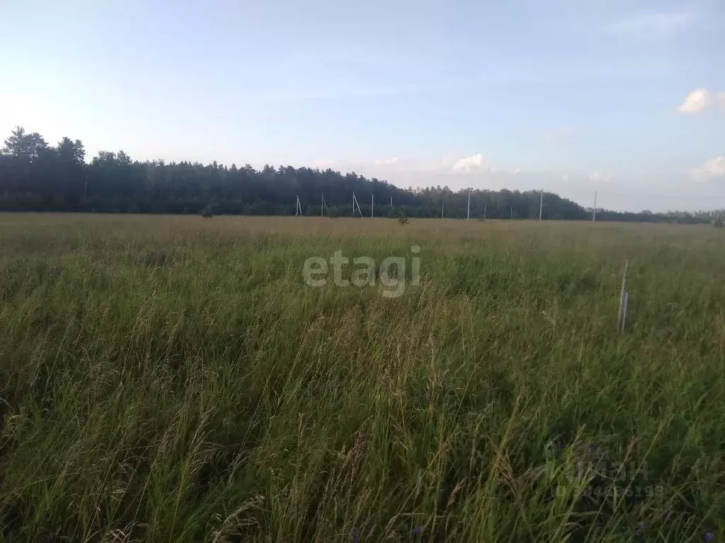 Участок в Алтайский край, Барнаул Авиатор мкр, ул. Кедровая (10.0 ... - Фото 0