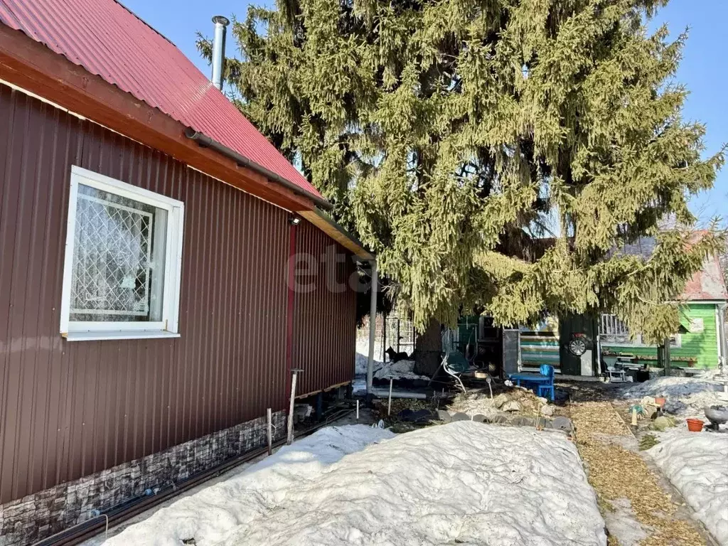 Дом в Тамбовская область, Тамбов Дружба Хладокомбината СНТ, 21 (55 м) - Фото 2