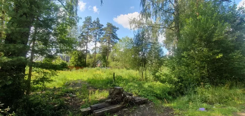 Участок в Ленинградская область, Гатчинский муниципальный округ, ... - Фото 1